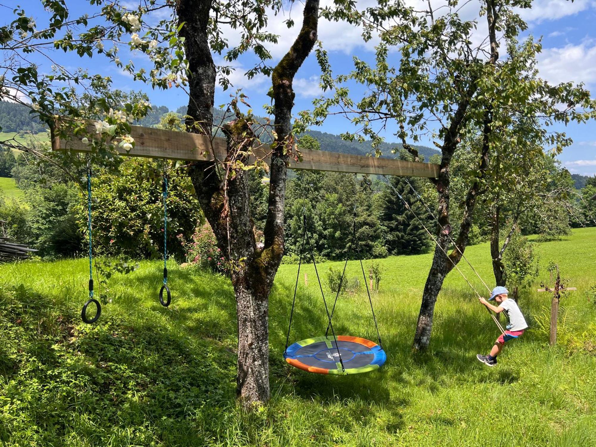 Wiesen Apartment Schwarzenberg im Bregenzerwald