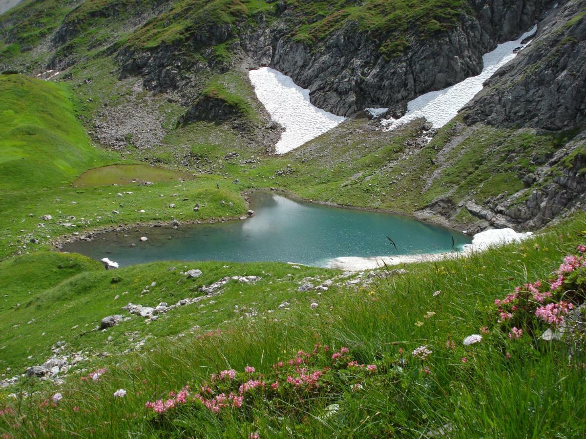 Wiesen *
