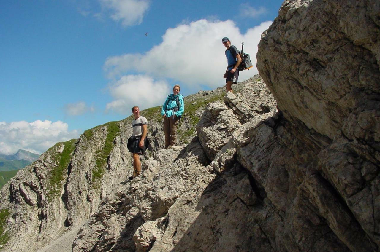 Wiesen Schwarzenberg im Bregenzerwald